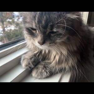 Meet your Posher, Nadia